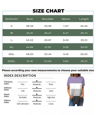 Womens Shirts Short Sleeve 2024 Comfy Tops Daily Dress Casual Round Neck Blouse Printed Tees Loose Pullover T Shirt 5-purple ...