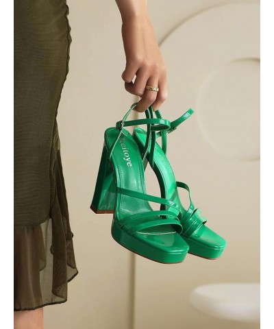 Women's Open Toe Platform Heeled Sandals Chunky Heel Ankle Strap Party High Heels Green $21.90 Sandals